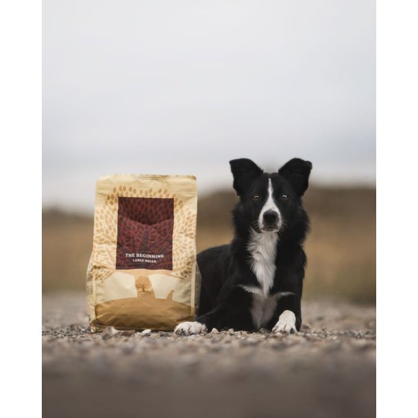 Essential The Beginning Large Breed 10kg