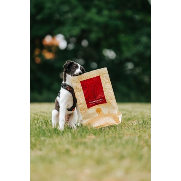 Essential The Beginning Small Size 10kg