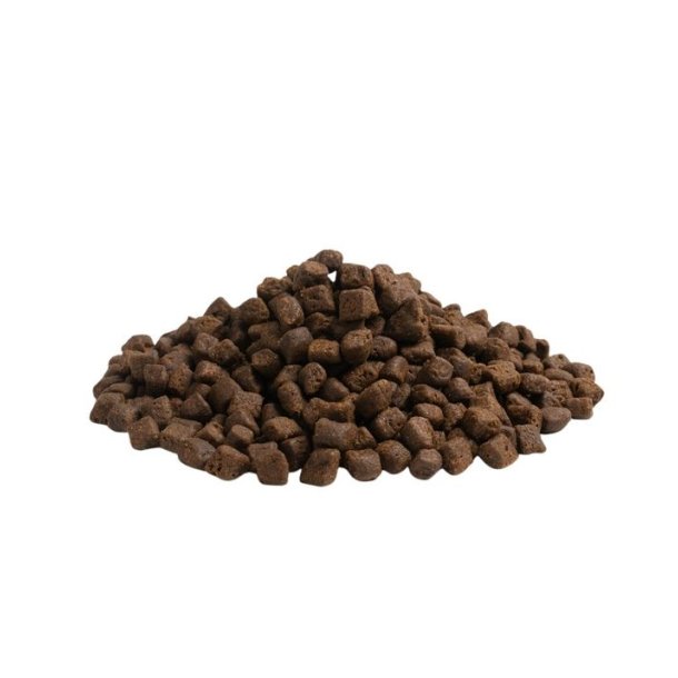 Essential The Beginning Small Size 2,5kg