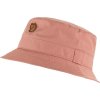 Fj�llr�ven Kiruna hat Dusty Rose