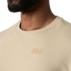 Helly Hansen Core Graphic T 2.0 Khaki / Sand