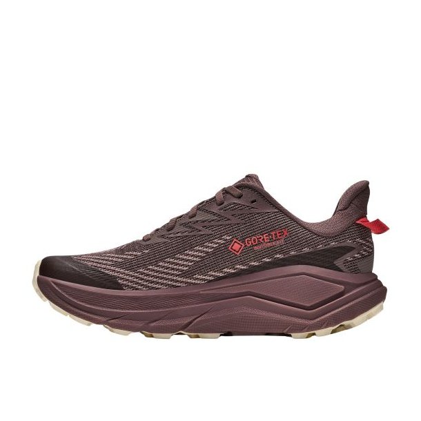Hoka Challenger 8 GTX W Smoky Quartz / Alabaster