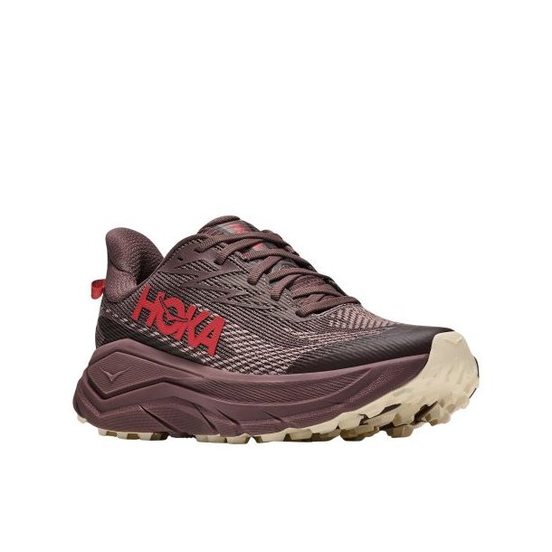 Hoka Challenger 8 GTX W Smoky Quartz / Alabaster