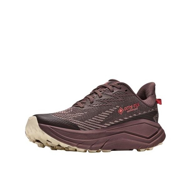 Hoka Challenger 8 GTX W Sko Smoky Quartz / Alabaster