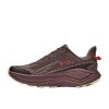 Hoka Challenger 8 GTX W Sko Smoky Quartz / Alabaster