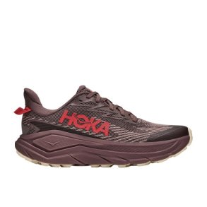 Hoka Challenger 8 GTX W Sko Smoky Quartz / Alabaster