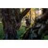 H�rkila Forest Hunter GTX Camo-Jakke AXIS MSP� Darkwood