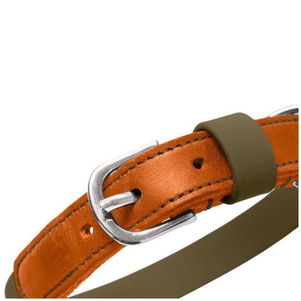 Hunter Wolmar Halsb�nd Khaki / Orange