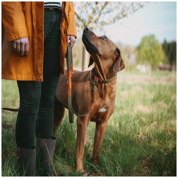 Hunter Wolmar Hundesnor 19/200 Khaki / Orange