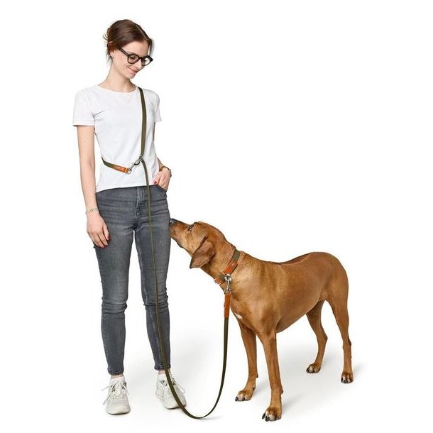 Hunter Wolmar Hundesnor 19/300 Khaki / Orange