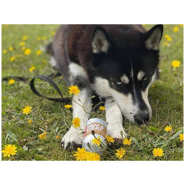MEAT & TREAT Hest Godbidsplse 200g