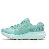 Merrell Agility Peak 5 GTX Sko W Canton