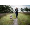 Non-stop dogwear Bungee Leash 2.0m/23mm Blue