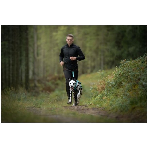 Non-stop dogwear CaniX Belt 3.0 Sort