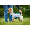 Non-Stop dogwear Cooling Pull-on Vest Light Gray/ Teal