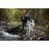 Non-Stop dogwear Cooling Pull-on Vest Light Gray/ Teal
