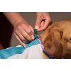 Non-Stop dogwear Cooling Pull-on Vest Light Gray/ Teal