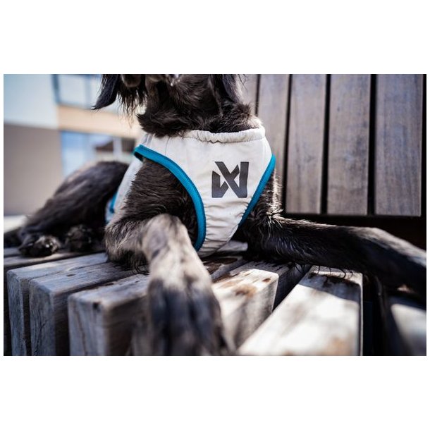 Non-Stop dogwear Cooling Pull-on Vest Light Gray/ Teal
