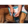 Non-stop dogwear Cooling vest Light gray / teal