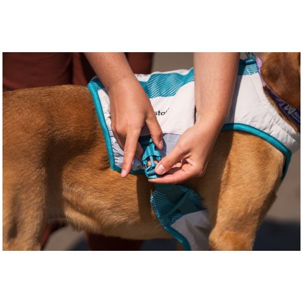 Non-stop dogwear Cooling vest Light gray / teal