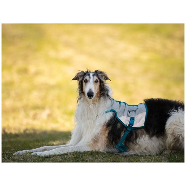 Non-stop dogwear Cooling vest Light gray / teal