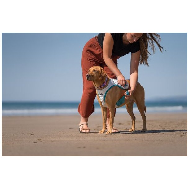 Non-stop dogwear Cooling vest Light gray / teal