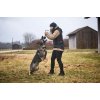Non-stop dogwear Obedience Vest W Black