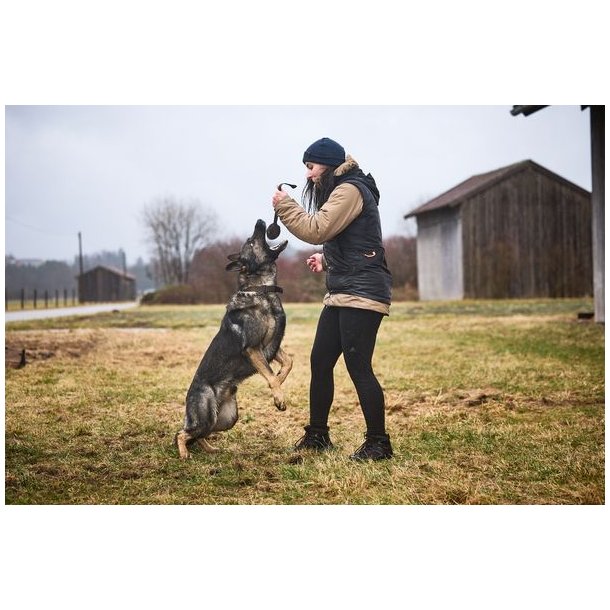 Non-stop dogwear Obedience Vest W Black