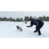 Non-stop dogwear Obedience Vest W Black