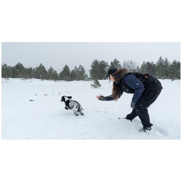 Non-stop dogwear Obedience Vest W Black