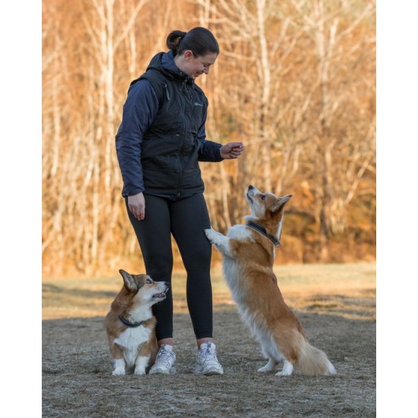 Non-stop dogwear Obedience Vest W Black