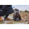 Non-stop dogwear Trekking Bowl Black Str. S