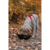 Non-stop dogwear Trekking Bowl Black Str. S