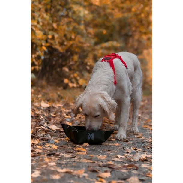 Non-stop dogwear Trekking Bowl Black Str. S