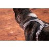 Non-Stop dogwear Trekking Line Harness CLIP'N Sand