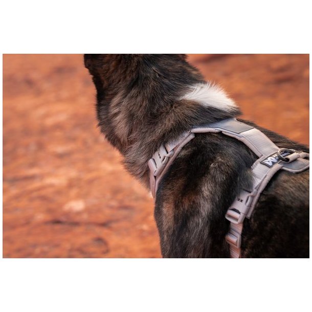 Non-Stop dogwear Trekking Line Harness CLIP'N Sand