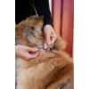 Non-Stop dogwear Trekking Line Harness CLIP'N Sand