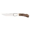 Sauer Stag Horn Foldekniv