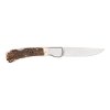 Sauer Stag Horn Foldekniv