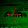 Sightmark Wraith HD 4-32x50 Digital Natkikkert