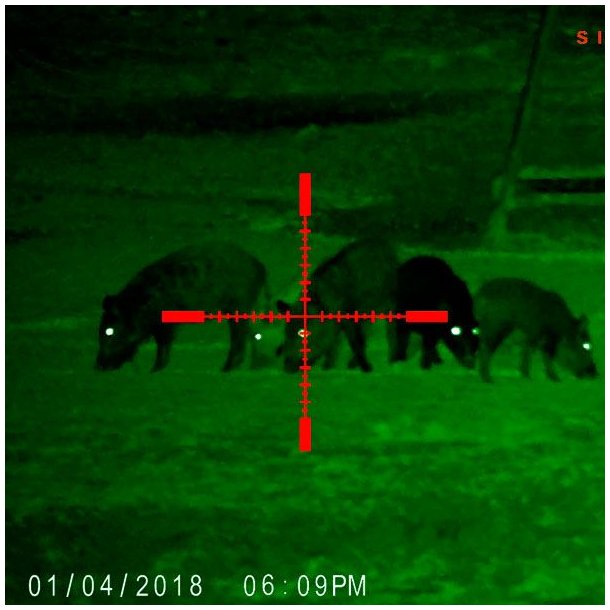 Sightmark Wraith HD 4-32x50 Digital Natkikkert