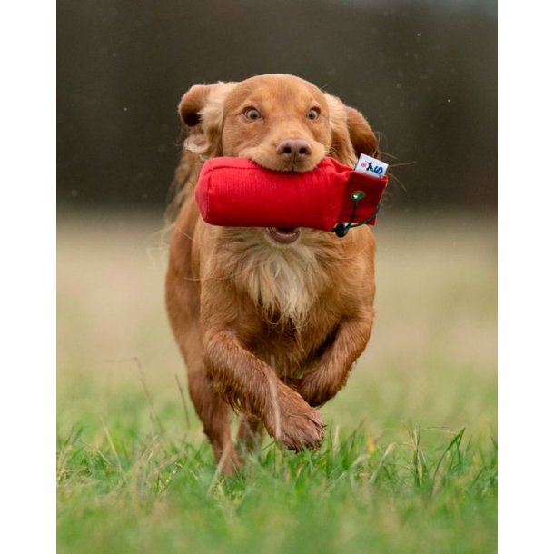 Sporting Saint Dummy I Canvas 225g R�d