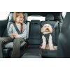 Thule Cappy Dog Bilsele Black