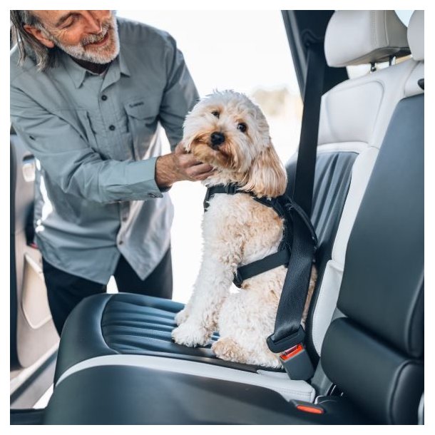 Thule Cappy Dog Bilsele Black