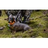 Tracker Bark 4G IoT Hundesporing