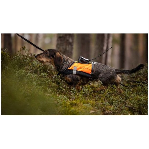 Tracker G10i 4G IoT/2G Hundesporing