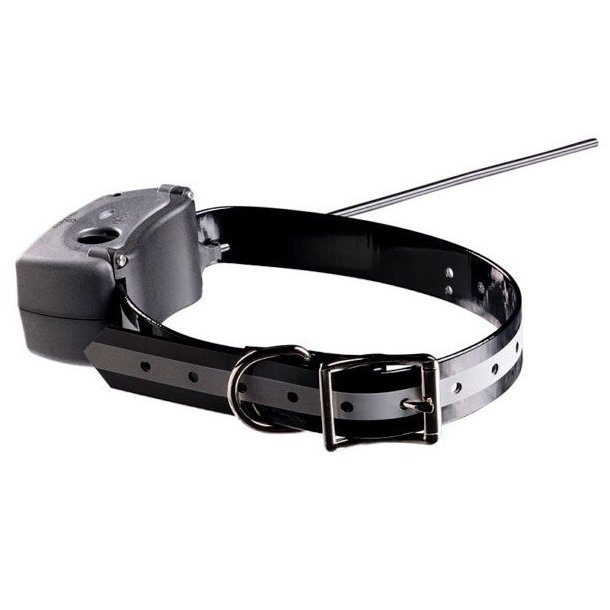 Tracker G10i 4G IoT/2G Hundesporing