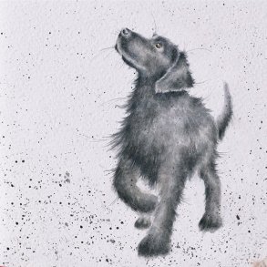 Wrendale Telegram Med Kuvert Hvalp